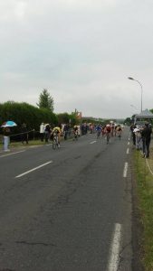 18361381_1646562298691760_196912368_n